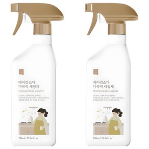 쉼표365 베이킹소다 대용량 다목적 세정제, 750ml, 2개