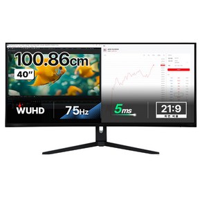 인터픽셀 5K WUHD NANO IPS 75Hz 높이조절 모니터, 100.859cm, IPU4010(무결점)