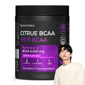 피토틱스 NEW 시트루 BCAA 포도맛, 1개, 300g