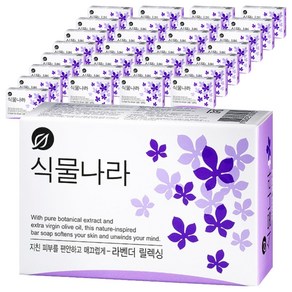 식물나라 비누 라벤더 릴랙싱, 100g, 48개