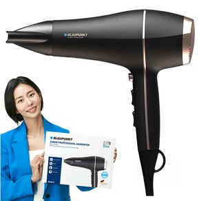 블라우풍트 초고출력 헤어 드라이어 BLP-HD2500K 2400W, 블랙