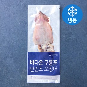 바다온 포항시 인증 구룡포건조 원양산 반건 오징어 2미 (냉동)