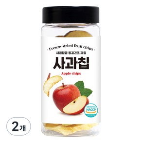 동결건조 사과칩, 2개, 55g