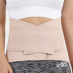 AOS 101 WAIST BACK BRACE 허리보호대 9인치 L, 1개