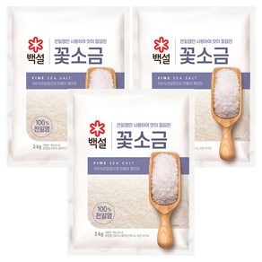 CJ제일제당 백설 꽃소금, 3kg, 3개