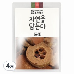 조은약초 자연을 담는다 프리미엄 모과, 600g, 1개입, 4개