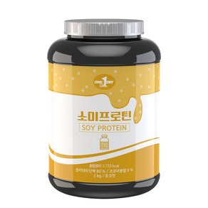 원데이뉴트리션 소이프로틴 단백질 쉐이크 초코맛, 2kg, 1개