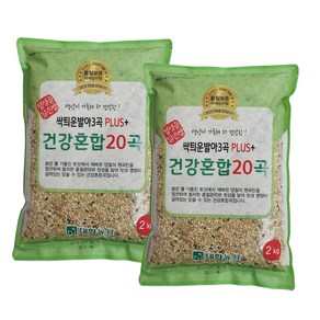 대한농산 싹틔운 발아 3곡 플러스 건강혼합 20곡, 2kg, 2개