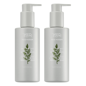 미샤 개똥쑥 약산성 여성 청결제, 2개, 210ml