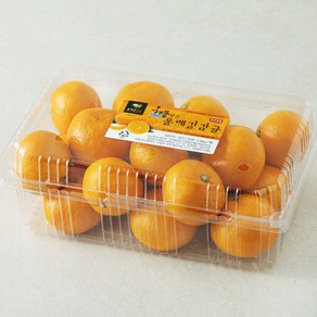 해풍맞은 올레길 Ai 당도선별 11brix 감귤, 1.5kg(로열과), 1개
