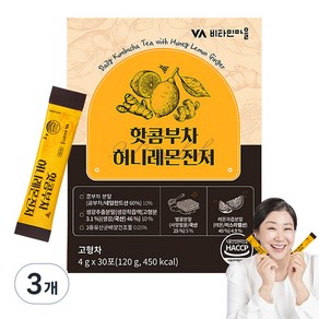 비타민마을 허니레몬진저 핫 콤부차, 4g, 30개입, 3개