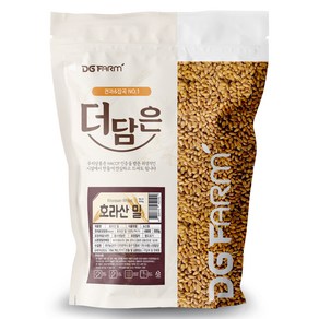 대구농산 더담은 호라산밀, 500g, 1개