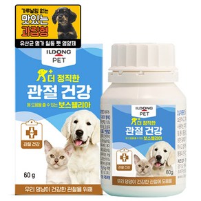 일동펫 반려동물 더 정직한 영양제, 관절+장건강, 60g, 1개