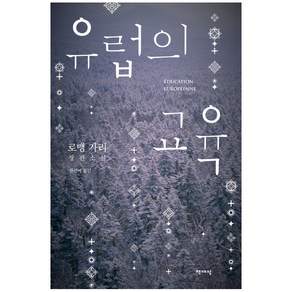 유럽의 교육:로맹 가리 장편소설, 책세상, 로맹 가리 저/한선예 역