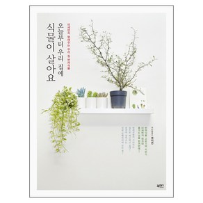 오늘부터 우리 집에 식물이 살아요:미세먼지 없애주는 우리 집 반려식물, 북센스