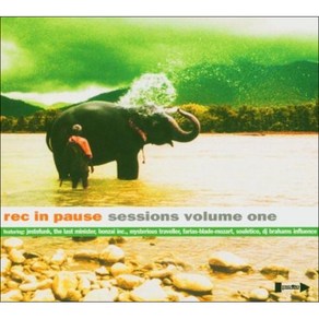 VARIOUS - REC IN PAUSE SESSIONS VOL 1 EU수입반, 1CD