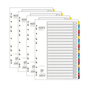 알파 인덱스간지 PVC 20분류 A4 AI-620