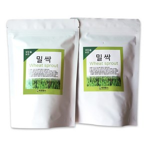 세경팜 밀싹씨앗 300g, 2개