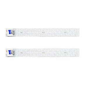 LED 모듈램프 21W 2p, 주광색