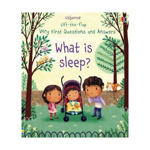 Vey Fist Lift-the-Flap Questions & Answes : What is Sleep?, Usbone