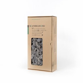 스칸디아모스 이끼 RM500 바이올렛 500g, 1개