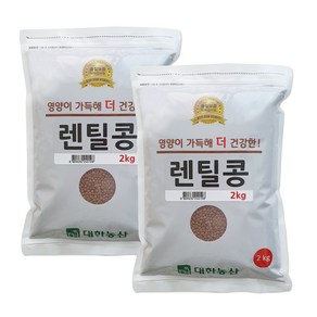 대한농산 렌틸콩, 2kg, 2개