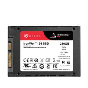 씨게이트 Ionwolf 125 SSD NAS, ZA250NM10002, 250GB