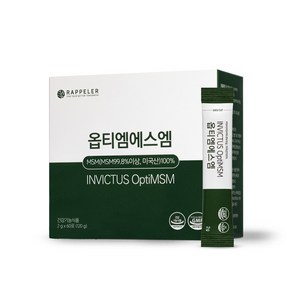 라플레 옵티 엠에스엠 60p, 120g, 1개