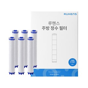 루헨스 싱크대 리필용 바디필터 WCS-300 RB, 화이트, 6개