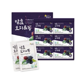 별빛촌 발효 오디 뽕 오디즙 30p, 1개, 70g