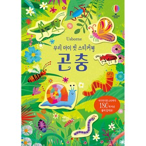 Usborne우리 아이 첫 스티커북: 곤충: