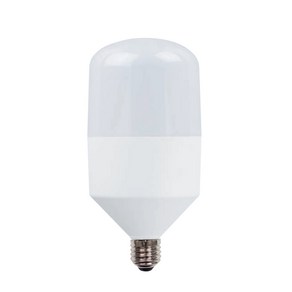 두영 LED 글러브 전구 31W E26, 주광색, 1개