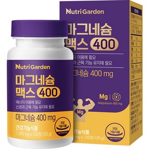 뉴트리가든 마그네슘 맥스400 120정, 1개