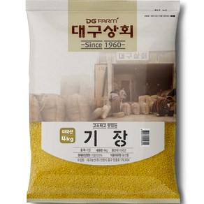 대구상회 고소하고 맛있는 기장, 4kg, 1개