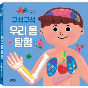 구석구석 우리 몸 탐험, 블루래빗