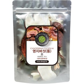 동이약초 영지버섯 통, 150g, 1개