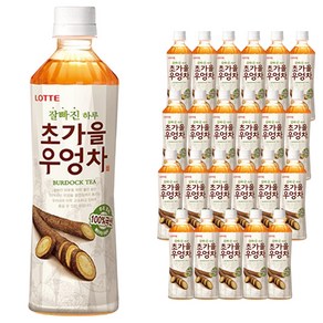 롯데칠성음료 잘빠진 하루 초가을 우엉차