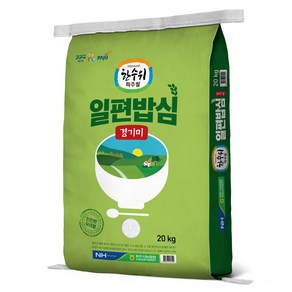 농협 한수위파주쌀 2024년산 햅쌀 일편밥심 경기미 참드림, 특, 20kg, 1개