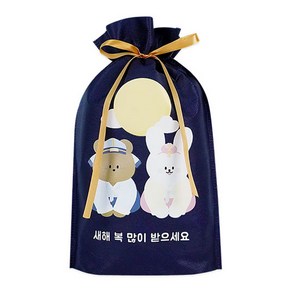 도나와친구들 새해 복 많이 받으세요 부직포백 22 x 32 cm, 2호 호두와 순면이, 5개