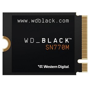 WD BLACK SN770M M.2 2230 NVMe 스팀덱 Ally호환 SSD, 2TB, WDS200T3X0G