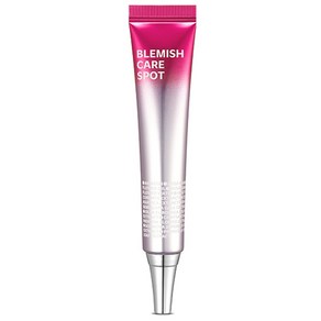 아이소이 블레미쉬 케어 스팟, 25ml, 1개