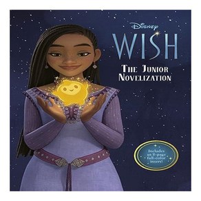 Disney Wish: The Junior Novelization