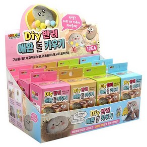 DIY반려애완 돌키우기 4종 x 3p 세트, 혼합색상, 1개