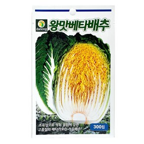 다농 왕맛베타배추 씨앗 300립, 1개