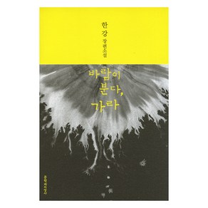 바람이 분다 가라 큰글자도서, 문학과지성사, 한강