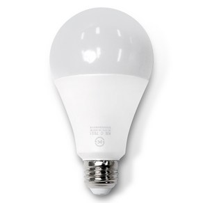 두영 LED 전구 20W, 주광색, 1개