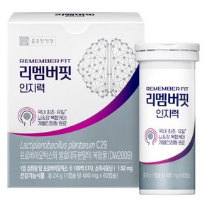 종근당건강 리멤버핏 인지력 24g, 1개, 60정