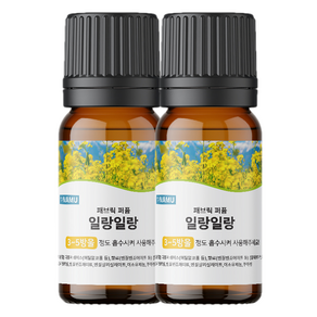 NAMU 양모볼 패브릭 오일 10ml 일랑일랑, 2개