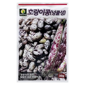 다농 호랑이콩 넝쿨성 씨앗 30g, 1개