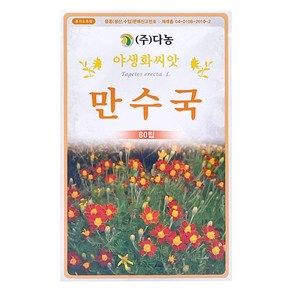 다농 만수국 씨앗 80p, 1개